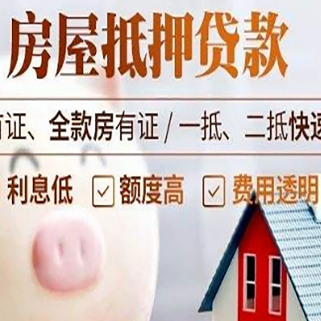 海城贷款助贷公司新渝启服成立时间久